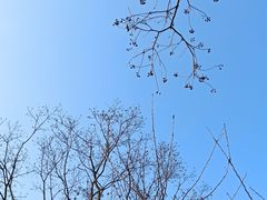 -苏州清山会议中心