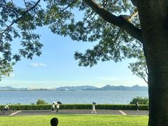 -丁香湖公园