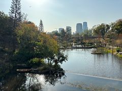 -云溪植物园