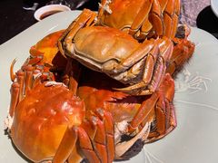 清蒸大闸蟹-蟹榭·本帮江浙菜·蟹宴(五角场合生汇商场店)