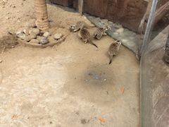 -呀路古热带植物园