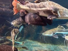 -太平洋海底世界