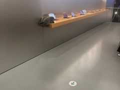 -Apple零售店(成都太古里店)