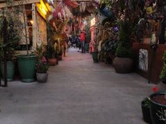 -The Grounds of Alexandria