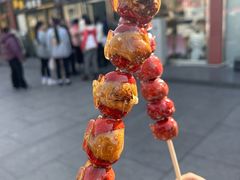 -糖葫芦王保定名吃(古莲花池店)