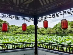 -花溪公园
