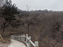 -北京西山国家森林公园