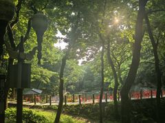 -句容茅山景区