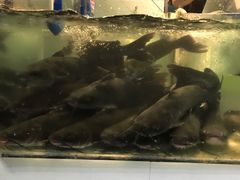 -湄公河秘制烤鱼(西双十贰城商业中心店)