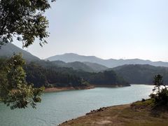 -银瓶嘴森林公园