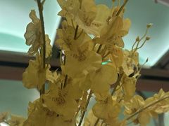 -鸽味轩·粤菜小馆(高楼门总店)