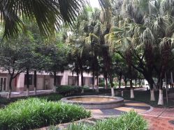 -榕树上·瑜伽普拉提