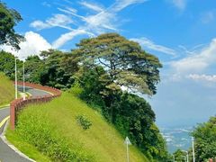 -黄埔油麻山森林公园