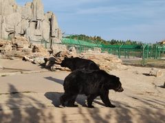 -鄂尔多斯野生动物园