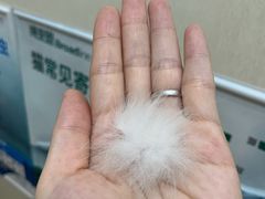 -瑞派康怡24h宠物医院·犬猫医疗中心·微创绝育(瑞景分院)