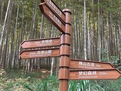 -东明山森林公园