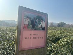 -中国茶叶博物馆(双峰馆区)