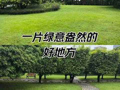-荔香公园
