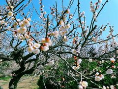 -白马涧龙池景区