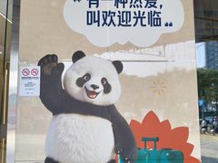 -凯德MALL(望京店)