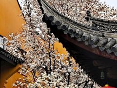 -龙华寺