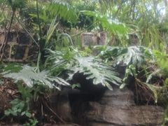 -腾冲洞山温泉村
