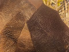 -茅草房·河畔园林火锅