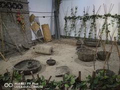 -白洋淀景区