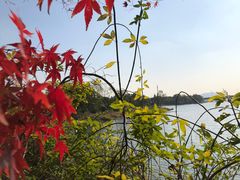 -长广溪湿地公园