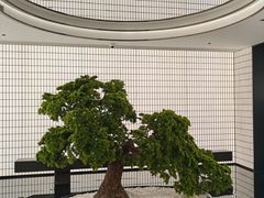 -德基艺术博物馆