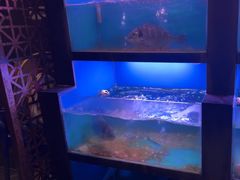 -月下料理(楷林IFC店)