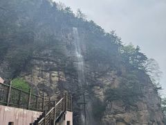 -青峰峡国家森林公园