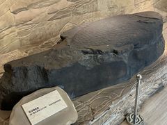 -白鹤梁水下博物馆