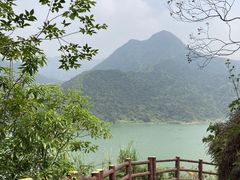 -羚羊峡古栈道森林公园