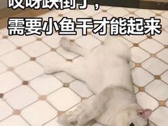 -秋林食品(秋林公司店)