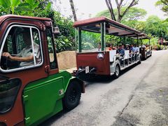 -新加坡飞禽公园