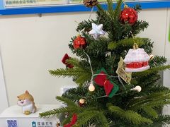 -美联众合动物医院·24h京西诊疗中心