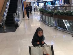 -新罗免税店(首尔总店)