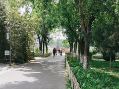 -丰台科技园生态主题公园