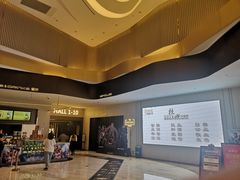 -万象影城(石家庄万象城IMAX激光店)