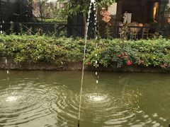 -花溪雨·森林餐厅(石基店)
