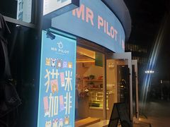 门面-飞行喵MR PILOT|猫舍·猫咖(静安大融城店)