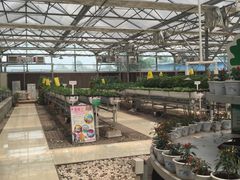 蔬菜超市-精灵农庄