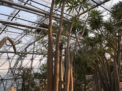 -北京植物园-展览温室