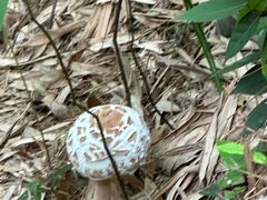 -东天目山风景区