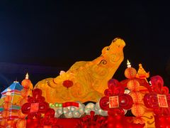 -武汉园博园(武汉自然博物馆)