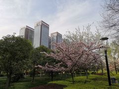 -唐城墙遗址公园