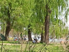 -长春市南湖公园