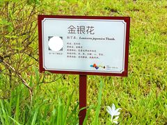 -珠海圆明新园