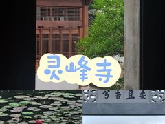 -阿露佳·舌尖上的安吉菜